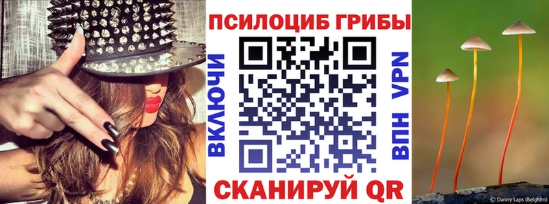 Галлюциногенные грибы ЛСД  Купить закладки  Черногорск 