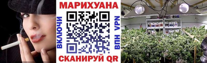 Купить где  Черногорск  Бошки Шишки OG Kush 